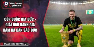 Cúp quốc gia Đức - Giải đấu danh giá đậm đà bản sắc Đức