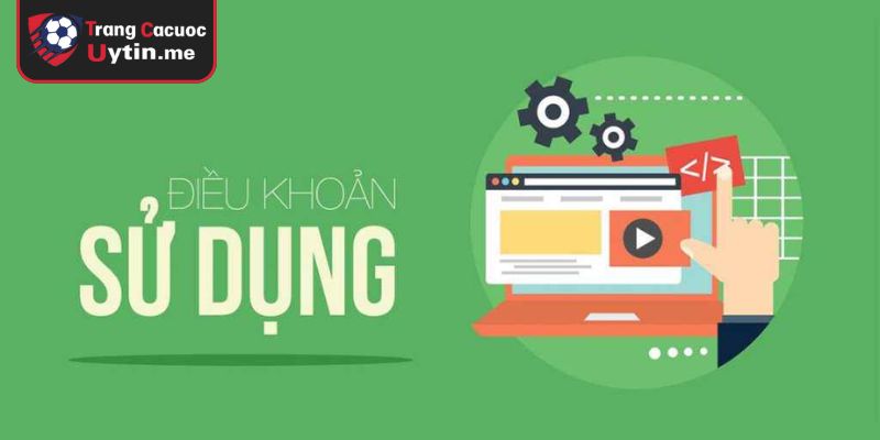 Thông tin và quyền thay đổi trên website