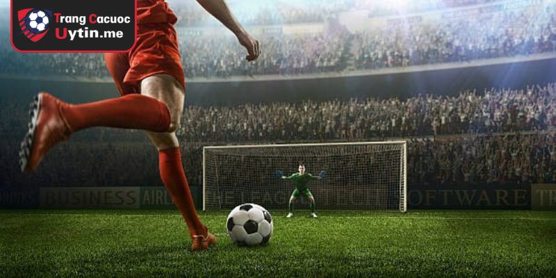 Lý do trang web lại hút người hâm mộ