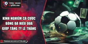 Kinh Nghiệm Cá Cược Bóng Đá Hiệu Quả Giúp Tăng Tỷ Lệ Thắng