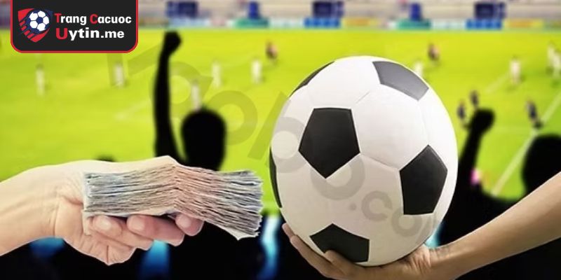 Tìm hiểu thực lực và đội hình trước trận